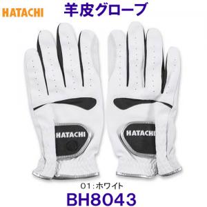 n^` HATACHI rvO[u BH8043 OEhSt /2023FW