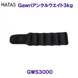 ハタHATAS【2024SS】GAWRIアンクルウエイト3KG （2ヶ組）GWS3000